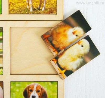 Картинки-половинки "Домашние животные" (2 планшета) 